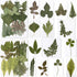BIHRTC 100PCS Dried Pressed Flowers, Assorted Real Dried Leaves for Resin Scrapbooking DIY Candle Accessories
