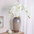FagusHome 32" Artificial Phalaenopsis Flowers, 6 Pcs with 4 Bundles Leaves for Home Décor