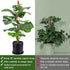 Soupiar 2-Pack 28" (13.2ft Bendable Moss Pole for Monstera, Rust-Free Aluminum Core Plant Support Stakes, Sturdy Stakes