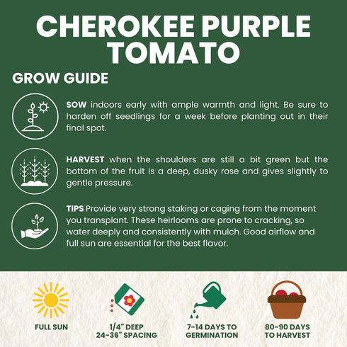 125 2026 600 Cherokee Purple Tomato Premium Seeds for Planting Rich, Juicy, Historic Heirloom for the Season Milligram