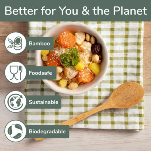 BambooMN 8" Reusable Solid Bamboo Deluxe Dinner Spoon - 10 pcs