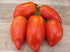 SeedsUA Seeds Tomato Pepper-Shaped Red Long Heirloom Vegetable for Planting Non GMO