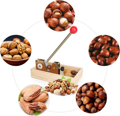 More-4 Nut Cracker Heavy Duty Walnut Cracker with Wooden Base Adjustable Nut Tongs Manual Nut Crackers for All Nuts Nut