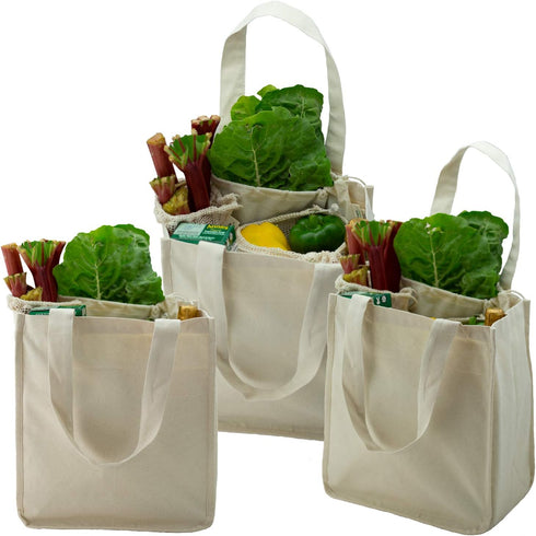 Simple Ecology Organic Cotton Deluxe Reusable Grocery Shopping Bag; Bottle Sleeves, Rigid