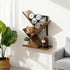 3-Tier Tree Book Shelves for Wall, Small Wall Mounted Shelves, Unique Hanging Bookshelf Storage Rack, Floating