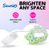 20ct 7 (2 Silver Buffalo Sanrio Hello Kitty and Friends Keroppi Decorative String Lights, Feet Long, Battery Powered AA