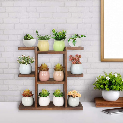 9 Wood Desktop Plant Stand Indoor Small Windowsill Flower Shelf Tabletop Plant Shelf Holder Display Rack for Succulent
