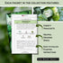 Packets Sow Right Seeds - Spinach Seed Collection for Planting - Viroflay, Malabar & Bloomsdale Spinach - Cold Hardy