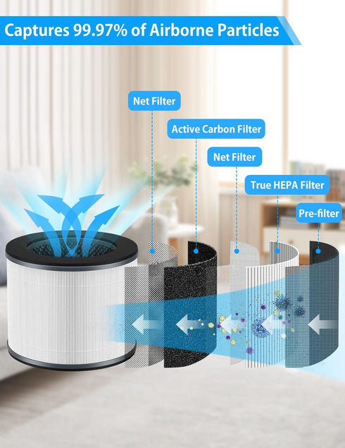BBT BAMBOOST AP-T10FL Replacement Filter for Homedics AP-T10-BK and AP-T10-WT, H13 True HEPA & Activated Carbon, 2 Pack