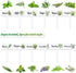 24Pcs 12 Summer JarThenaAMCS Acrylic Plant Label Signs Styles T-Type Herb Garden Markers Waterproof Reusable Plant