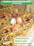 20 Oz 6 Nesting Herbs for Chicken Coop - Natural Egg-Laying Box Feed Herb in Dried Flowers for Freshening Bedding