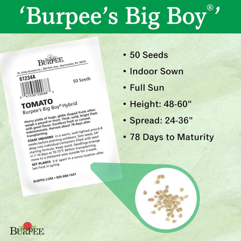 125 Burpee Big Boy Tomato Seeds seeds