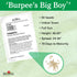 125 Burpee Big Boy Tomato Seeds seeds