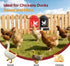 2 Pack Chicken Grit and Oyster Shell Feeder, Metal Oyster Shell Feeder with Visual Window and Lid, Hanging Gravity