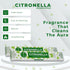 Citronella Incense Sticks for Outdoor Camping, Total 40 Sticks, Dual Pack of 20, Natural Non-Toxic Ingredients