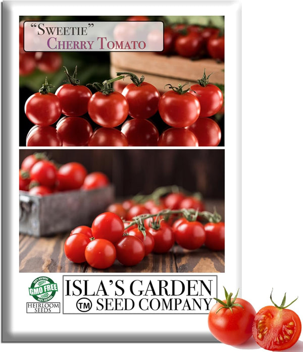 Sweetie Cherry Tomato Seeds (Solanum lycopersicum) 250+ Non-GMO & Heirloom Seeds, Extra