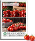 Sweetie Cherry Tomato Seeds (Solanum lycopersicum) 250+ Non-GMO & Heirloom Seeds, Extra