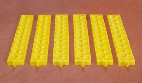GQF Quail Egg Racks Turner