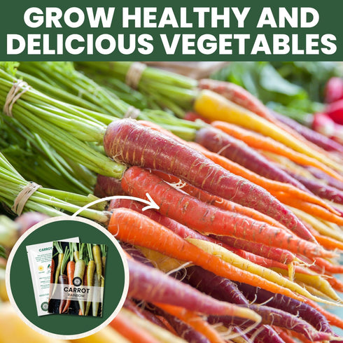 4,500 2026 5 Carrot Rainbow Mix Premium Heirloom Seeds for Planting Colorful, Sweet Root Blend for Garden & Kitchen