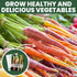 4,500 2026 5 Carrot Rainbow Mix Premium Heirloom Seeds for Planting Colorful, Sweet Root Blend for Garden & Kitchen