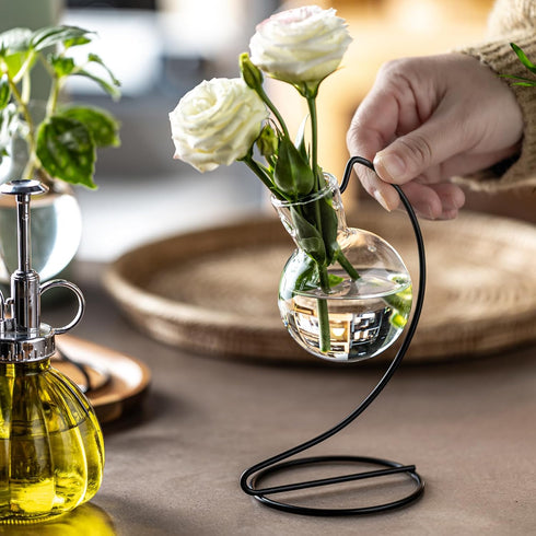(2) Desktop Glass Plant Propagation Station with Metal Stand,Tabletop Plant Terrarium,Hydroponics Vase for Propagating