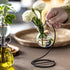(2) Desktop Glass Plant Propagation Station with Metal Stand,Tabletop Plant Terrarium,Hydroponics Vase for Propagating