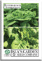 Buttercrunch Butterhead Lettuce Seeds for Planting 1000+ Non-GMO & Heirloom Seeds, Botanical