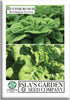Buttercrunch Butterhead Lettuce Seeds for Planting 1000+ Non-GMO & Heirloom Seeds, Botanical