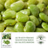 25+ King of The Garden Lima Bean Seeds (Pole Lima, Phaseolus lunatus) Non GMO Heirloom Seeds by Islas Garden Seeds