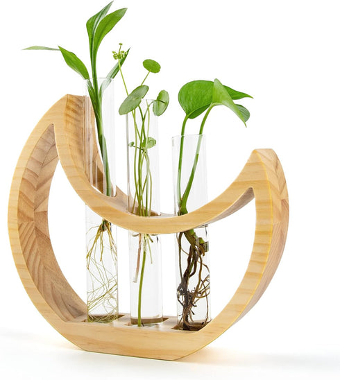 Plant Propagation stations, Crescent Moon Table Terrarium Stand for Indoor houseplants, Wooden