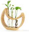 Plant Propagation stations, Crescent Moon Table Terrarium Stand for Indoor houseplants, Wooden