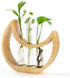 Plant Propagation stations, Crescent Moon Table Terrarium Stand for Indoor houseplants, Wooden