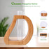 Plant Propagation Stations Wall Hanging Terrariums Home Decor Plants Glass Test Tube Planter with Wooden Stand