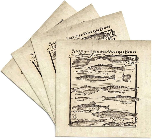 3dRose Antique Chart of Fish Fresh N Saltwater Ceramic Tile Coasters - Set of 4