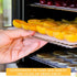13 x 12 Inches Dehydrator Trays, Compatible with CP267-FD, Stainless Steel Drying Mesh Screens