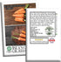 1000+ Red Cored Chantenay Carrot Seeds (Daucus carota) Heirloom Non-GMO Seeds by Islas Garden Seeds, Also Known as