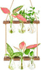 XXXFLOWER Wall Hanging Propagation Station with Wooden Stand 3 Bulb Vase 2