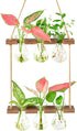 XXXFLOWER Wall Hanging Propagation Station with Wooden Stand 3 Bulb Vase 2
