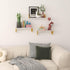 3 Pack Hoikwo Butterfly Wall Shelves, White Gold Floating Book Shelves, for Mother, Mom, Women, Girls, for Preppy Room