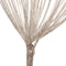 Door String Curtain - Decorative Tassel Screen Ribbon Strings Strip for Home, Patio, Bedroom, and Wedding (Champagne)