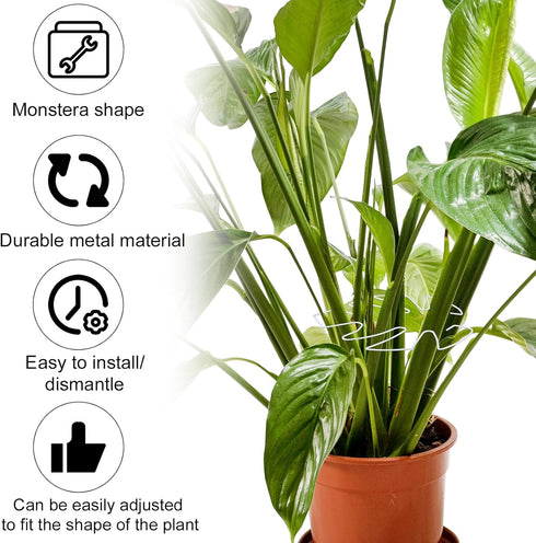 BOXOB 2pcs 2 Set Monstera Leaf Plant Support, Size Climbing Plant Stem Stand Hooks Ideal Monstera Stakes Grapple Pole