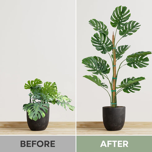 2 Pack 48'' Bendable Moss Pole Monstera Plant Support for Climbing Indoor Plants - Stakes for Potted Climbers - Tall