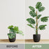 2 Pack 48'' Bendable Moss Pole Monstera Plant Support for Climbing Indoor Plants - Stakes for Potted Climbers - Tall