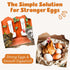 Revolutionary Chicken Chicken Oyster Shell Feeder and Grit Feeder Combo