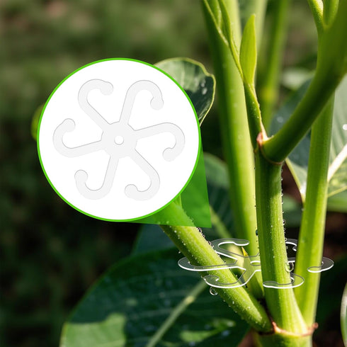 BOXOB 4pcs (4 Plant Stem Support, Plant Stem Holder with Holes Acrylic Plant Trellis Stakes Monstera Plant Stabilizer