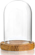 5.1" 3.9" ZEERSHEE Small Cloche Glass Dome with Wooden Base, Glass Display Dome Bell Jar for Plants, Keepsakes