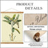 Vintage Banana Tree Poster Hanger Frame, Retro Style of Wall Art Prints, Printed on Linen with Natural Wooden Frames