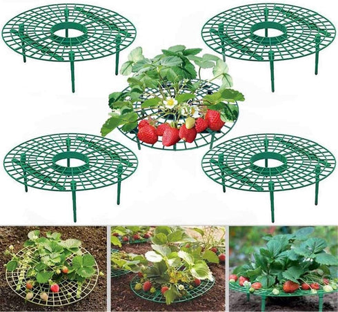 10 Pack Strawberry Supports Keeping Fruit Elevated & Balcony Planting Rack Fruit