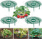10 Pack Strawberry Supports Keeping Fruit Elevated & Balcony Planting Rack Fruit