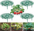 10 Pack Strawberry Supports Keeping Fruit Elevated & Balcony Planting Rack Fruit